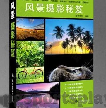 说缘足球比分网-探秘说缘足球比分网，球迷的数字战场与情感港湾