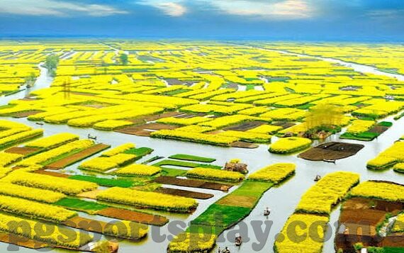 足球比分大小2.75-足球比分大小2.75，一场数字背后的博弈与智慧
