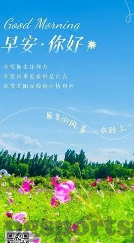 足球比分哪个网址好-揭秘！足球比分查询，这些网站才是你的最佳选择