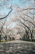 足球比分尤文图斯vs都灵-德比烽火重燃，尤文图斯与都灵的90分钟攻防博弈