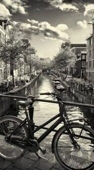 足球比分足球赛事-从比分背后看足球，一场赛事的多维解读