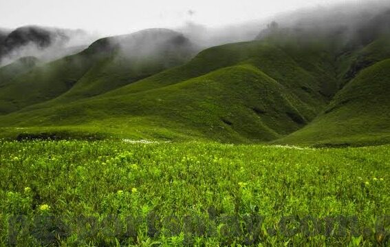足球其他平比分-足球江湖，平比分背后的别样风景
